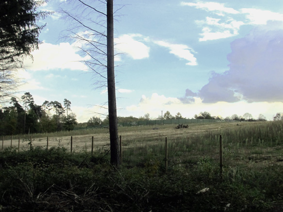 n_09_a3- ko-s_1302.jpg